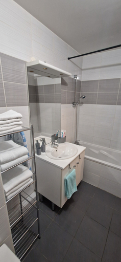 Bathroom 2, L'Harmonie Meyzieu, Rhône