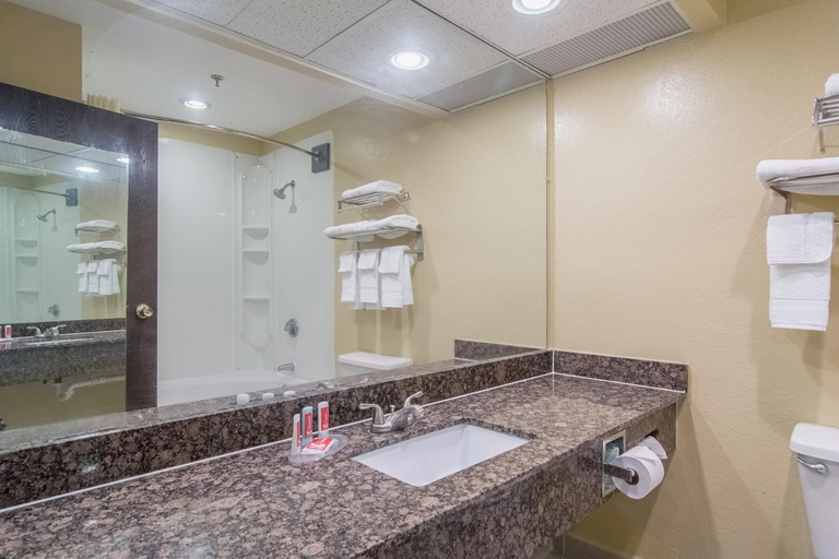 Bathroom 4, Econo Lodge Darien, McIntosh