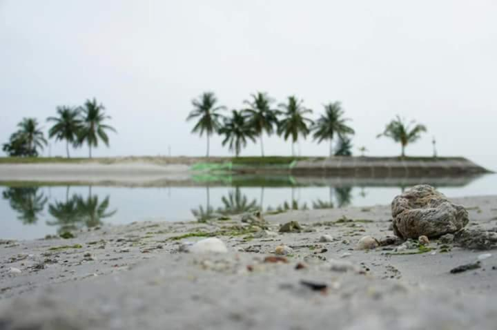Others 3, Seaview Homestay PD, Port Dickson