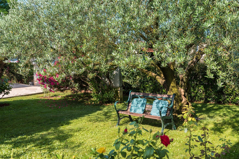 Others 2, B&B Carmela, Umag