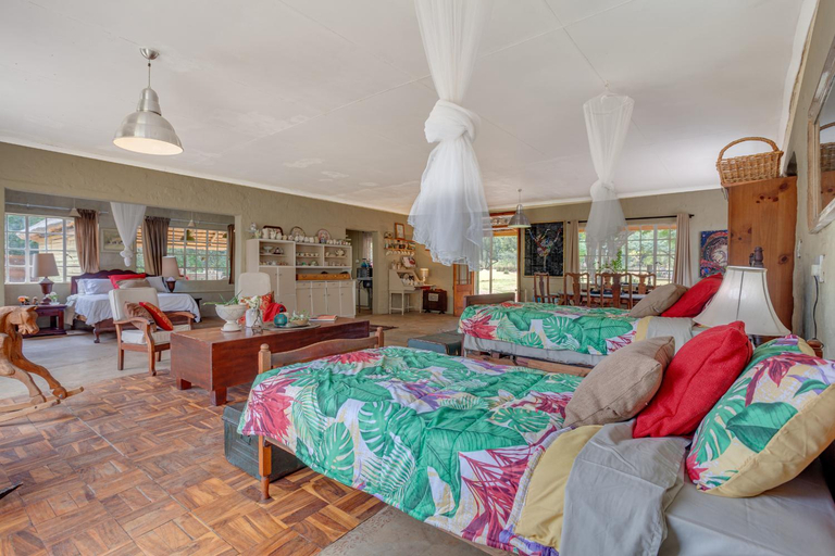 Others 4, THE LAZY LAPA, West Rand