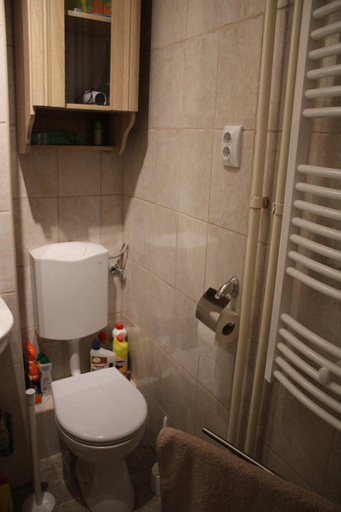 Bathroom 2, Three hippos apartman, Budapesti