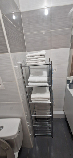 Bathroom 3, L'Harmonie Meyzieu, Rhône