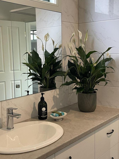 Bathroom 1, St Helen's Cottages, Clare and Gilbert Valleys