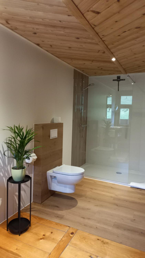 Bathroom 2, Landhaus Bad Hopfreben, Bregenz