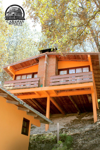 Others 5, Cabanas Los Bosques del Zembo, Huasca de Ocampo