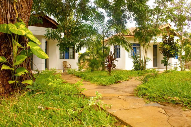 Others 2, Cycad Palm Diani, Msambweni