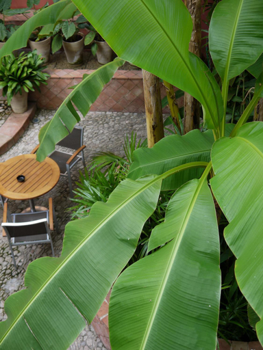 Scenery 12