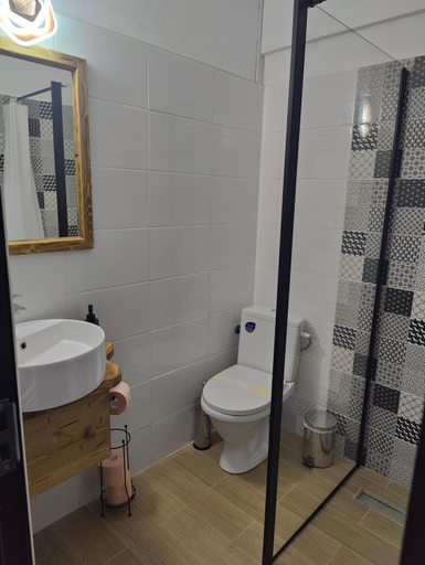 Bathroom, Pensiunea Trei Brazi Arieseni, Arieseni
