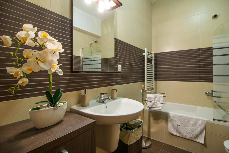 Bathroom 4, Business Apartments, Cluj-napoca