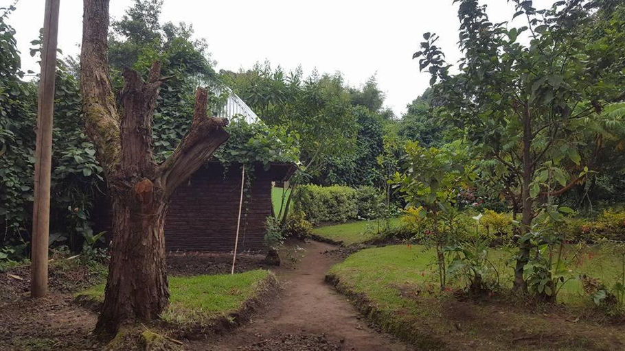 Others 2, Amajambere Iwacu Community Camp, Kisoro