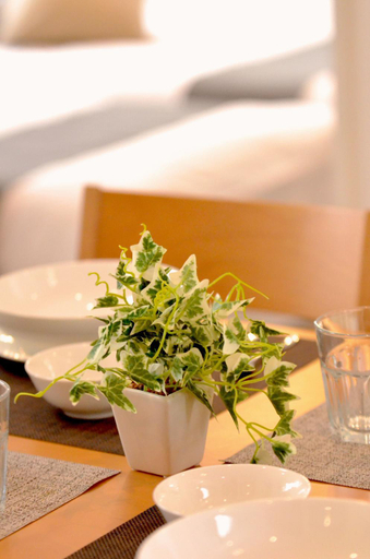 Food & Drinks 4, Purple House, Chatan