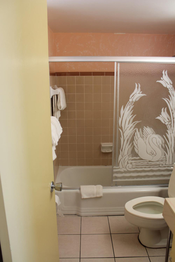 Bathroom 4, Grand Prix Motel on the Beach, Volusia