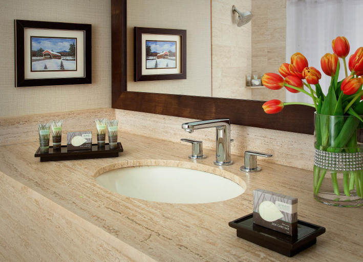 Bathroom 5, North Conway Grand, Carroll