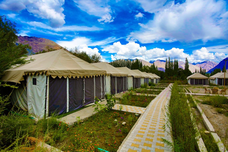 Others 3, Nubra Escapes, Leh