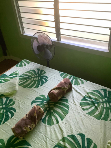 Bedroom 2, HFA Bldg , Sipalay City