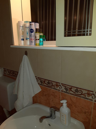 Bathroom 4, Apartments Ant