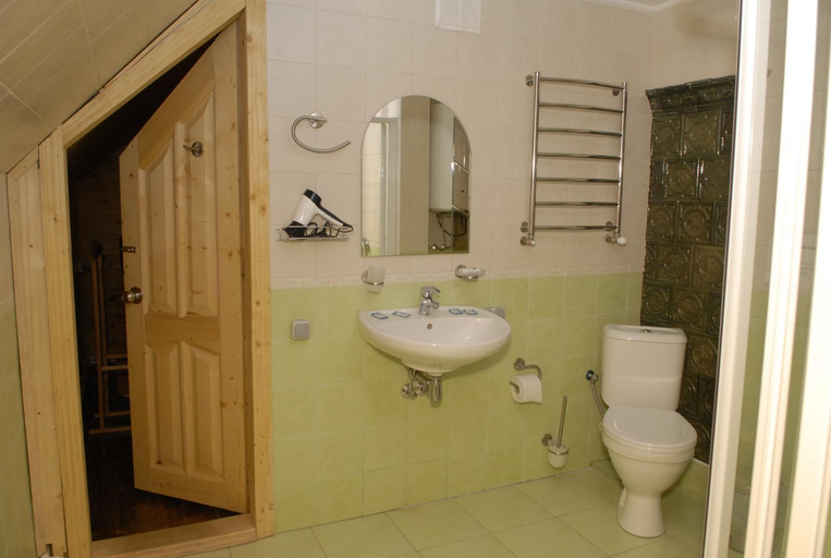 Bathroom 3, Карпатські Полонини, Skolivs'kyi