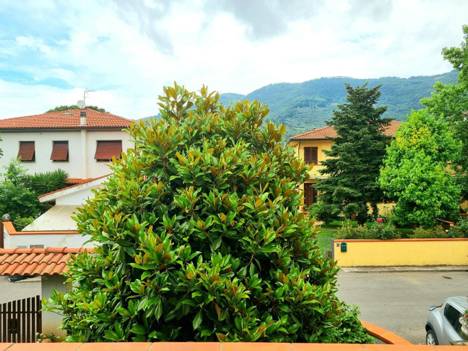 Scenery 1