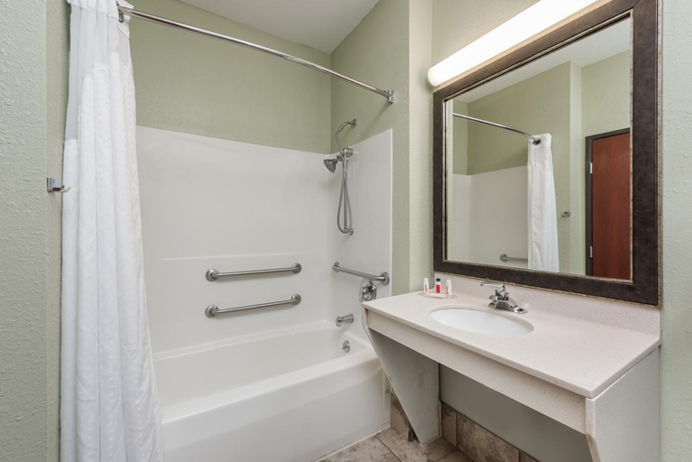 Bathroom 4, Seasons Inn & Suites , Madison