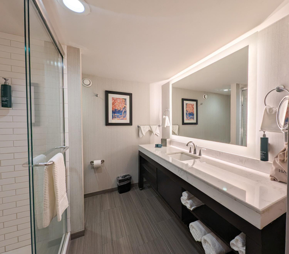 Bathroom 4, DoubleTree by Hilton Hotel Oak Ridge-Knoxville, Anderson