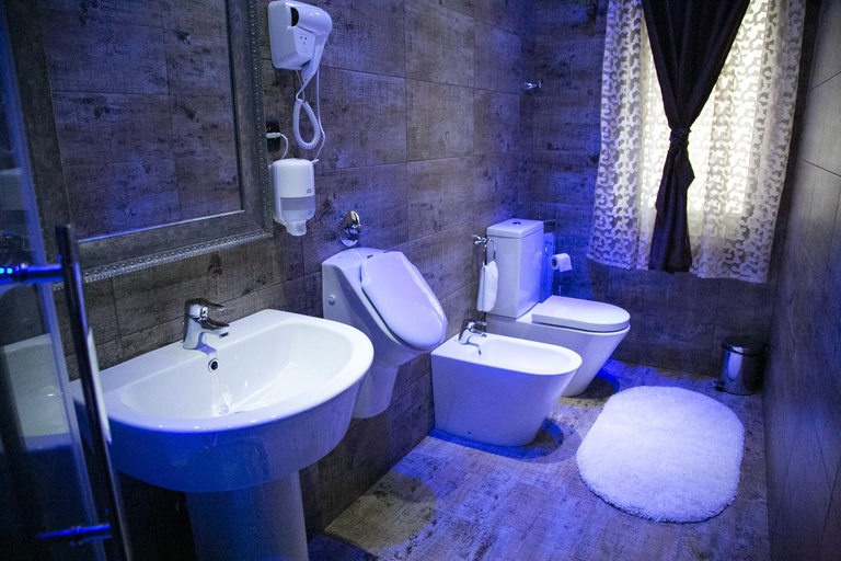 Others 4, Hotel Boutique Mikaela (Adult Only), Brasov