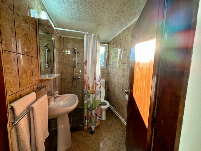 Others 3, Casa Aurelia, Pietroasa