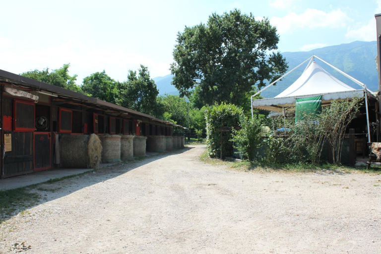 Agriturismo al Ranch, Pordenone