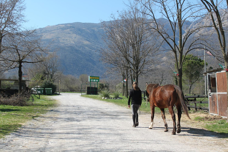 Others 5, Agriturismo al Ranch, Pordenone