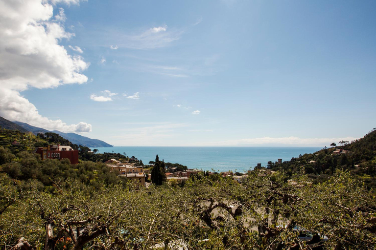 Scenery 2