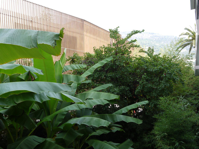 Scenery 18