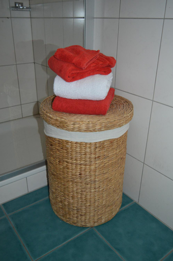 Bathroom 1, BnB-Blomberg, Toggenburg