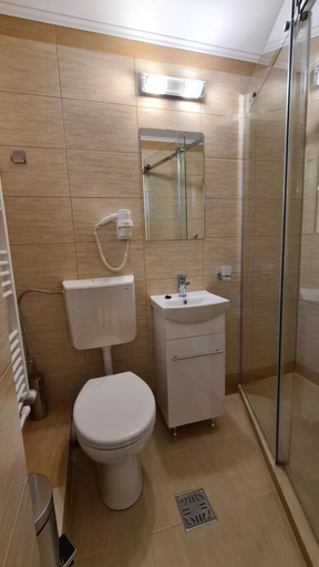 Bathroom 2, Pensiunea Madalina, Ceahlau