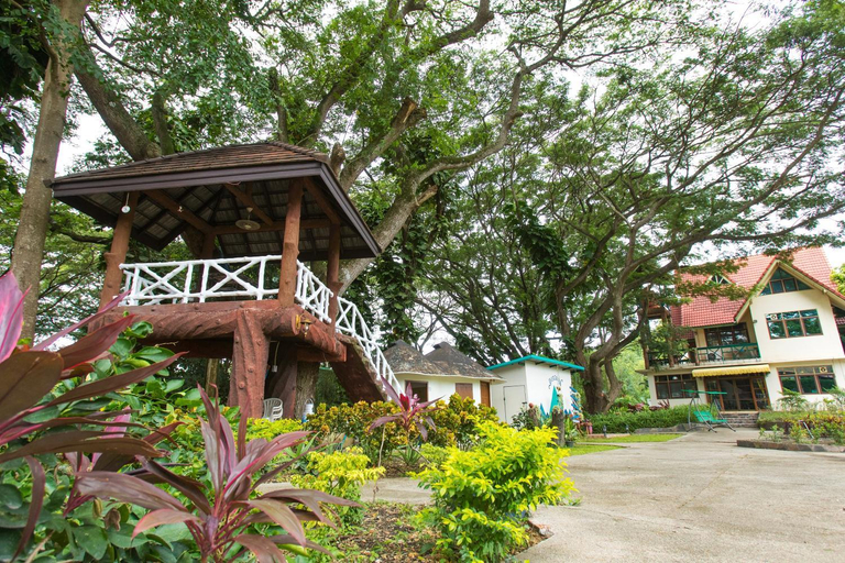 Others 2, Evergreen Home with Treehouse, Pak Chong