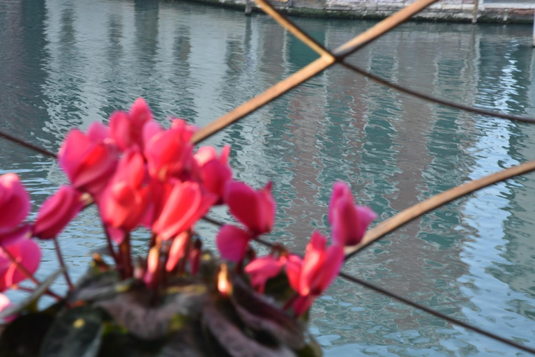 Sport & Beauty 4, Bed and breakfast Vista sul Canal Grande, Venezia