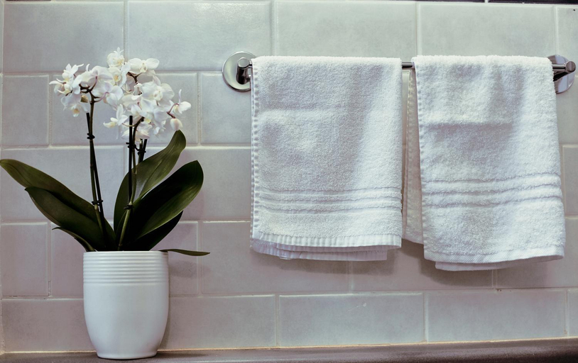 Bathroom 2, Bianca B&B, Florence