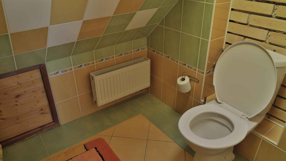 Bathroom 2, Penzion Ostruznik, Jeseník