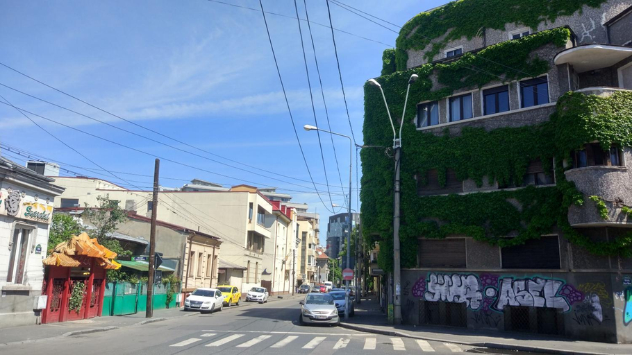 Food & Drinks, Central GREEN HOUSE, Municipiul Bucuresti