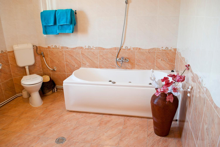 Bathroom 2, Pensiunea Vlad, Timisoara