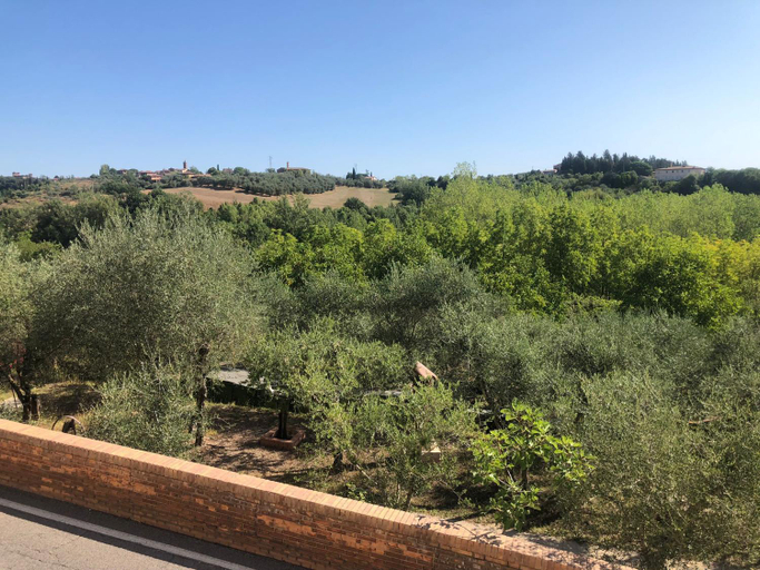Others 5, Le Castellacce, Siena