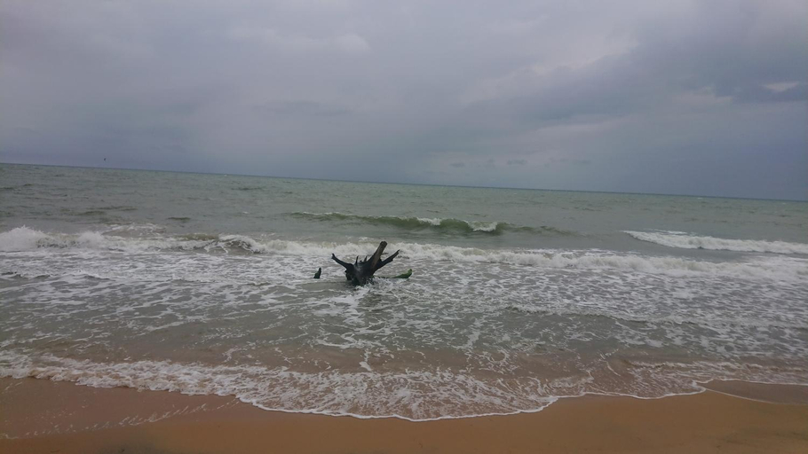 Others 4, Sulashika Beach House, Kalpitiya