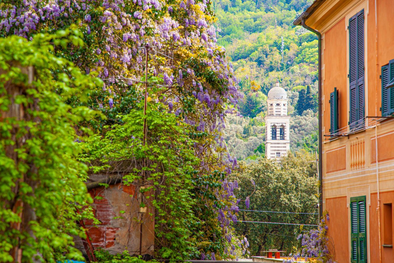 Leone I and Leone II Apartments, La Spezia