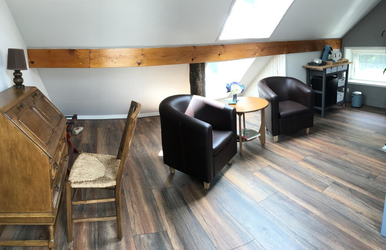 Others 3, Bed & Breakfast Ter Borg, Vlagtwedde