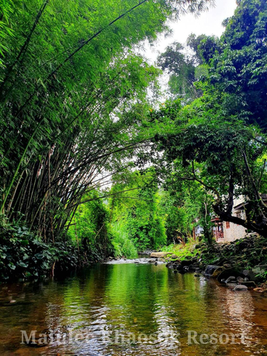 Scenery 1