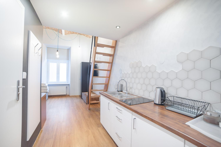 Kitchen 3, Dizzy Daisy Downtown Apartments, Kraków City