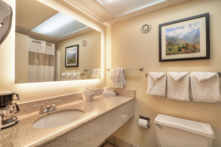 Bathroom 4, Edgewater Hotel and Conference Center, Sevier