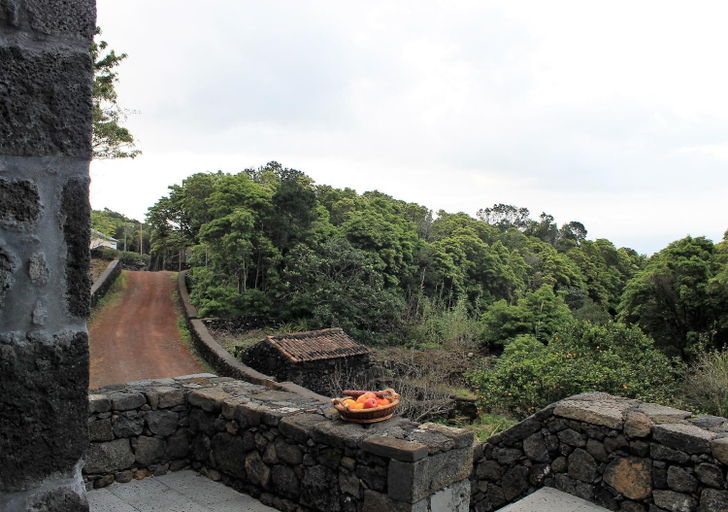 Others 4, Pico Formoso Vinea Lava Alojamentos Pico, São Roque do Pico