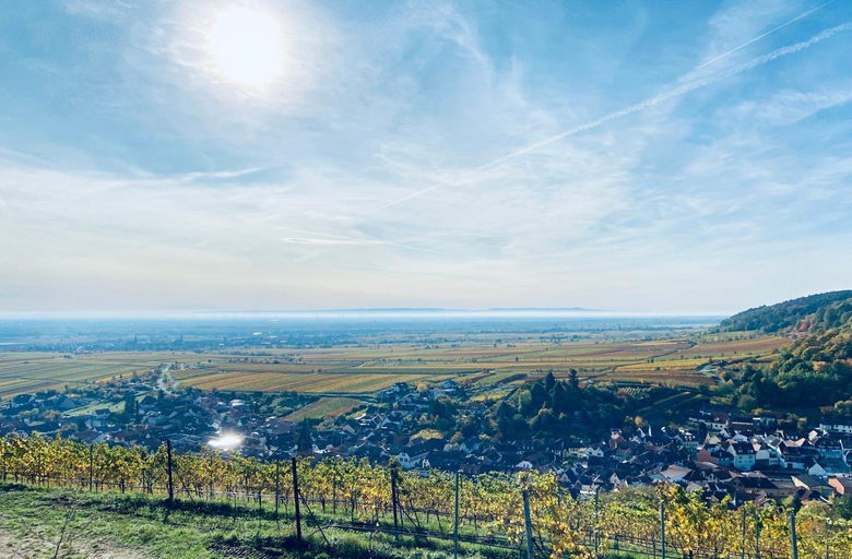 Exterior & Views 4, HALBSTUCK - Ferienwohnungen am Kropsbachpark, Südliche Weinstraße