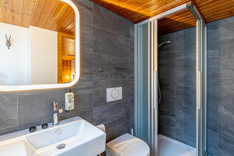 Bathroom 2, Gasthaus Brunig Kulm, Oberhasli