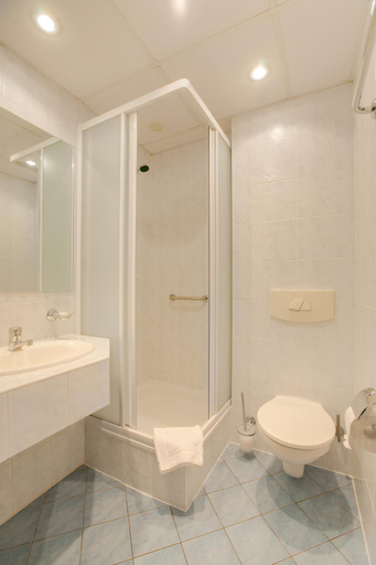 Bathroom, Hotel Zajazd Piastowski, Puławy